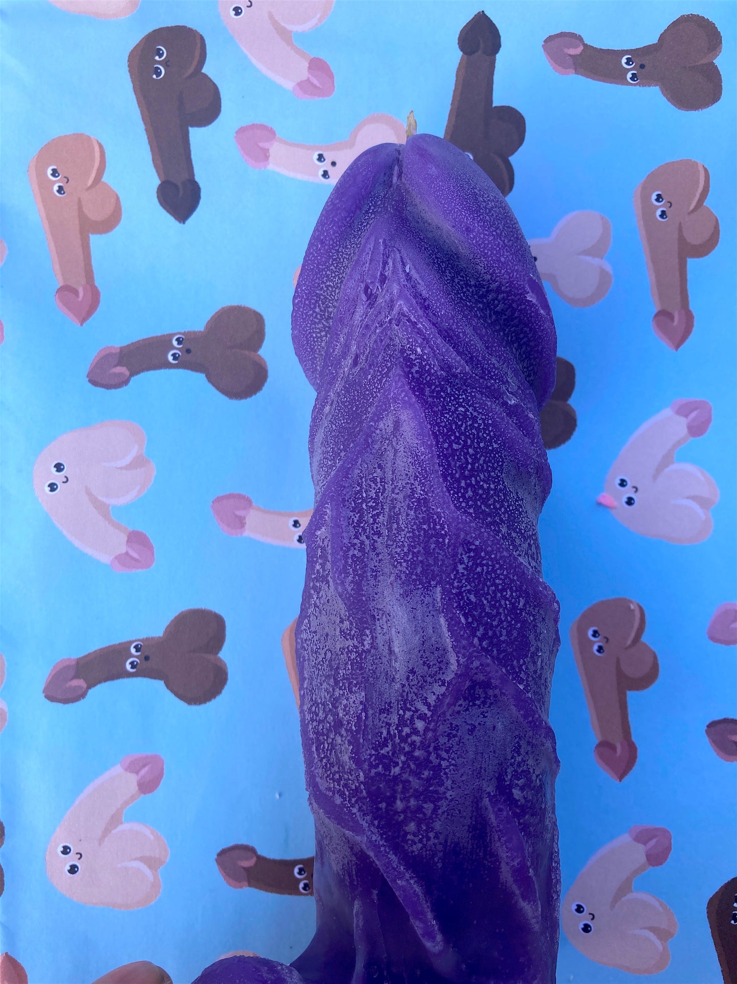 Blow Me | and make a wish | Hilarious Candle Gag Gift Box with Huge Penis Candle | Free Shipping