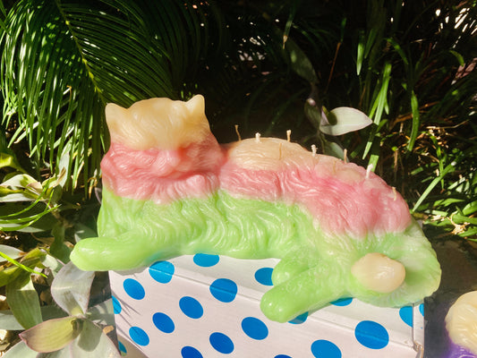 Kitty Cat Candle | 9 Lives | Feline Pussy Night light | 9 Wicks | Huge Kitten Candle | Free Shipping