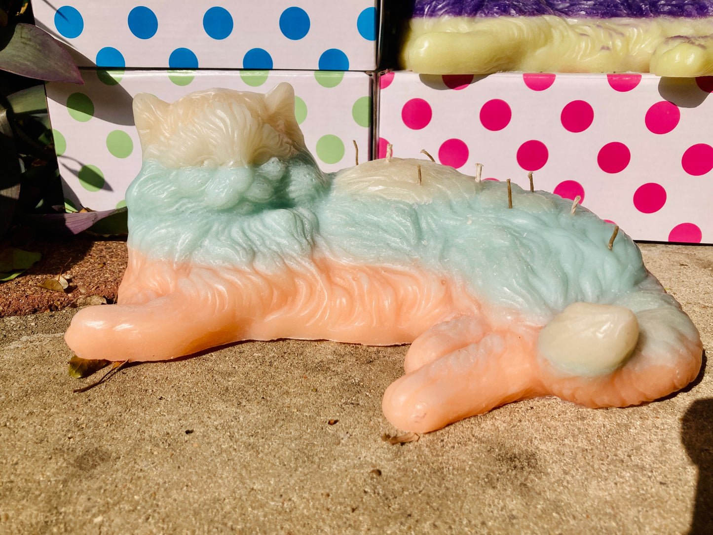 Kitty Cat Candle | 9 Lives | Feline Pussy Night light | 9 Wicks | Huge Kitten Candle | Free Shipping