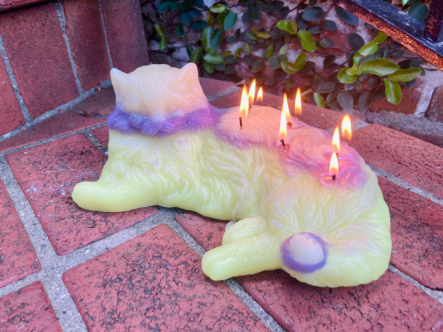 Kitty Cat Candle | 9 Lives | Feline Pussy Night light | 9 Wicks | Huge Kitten Candle | Free Shipping