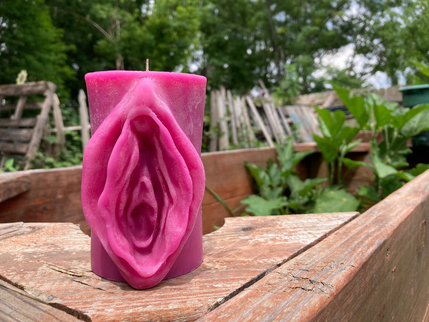 Vagina Candle Lilac