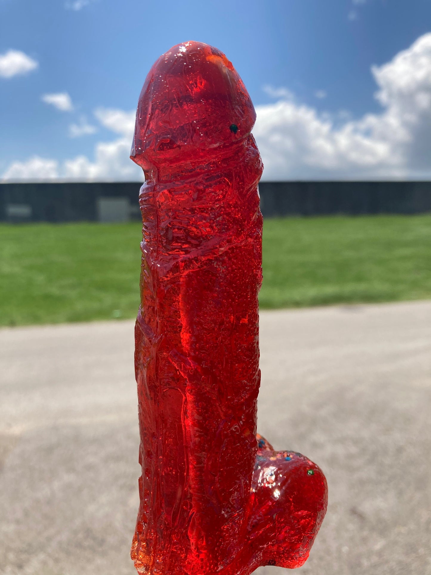 Bachelorette Penis Lollipop Party | A Dozen Strawberry Flavored Cock Suckers