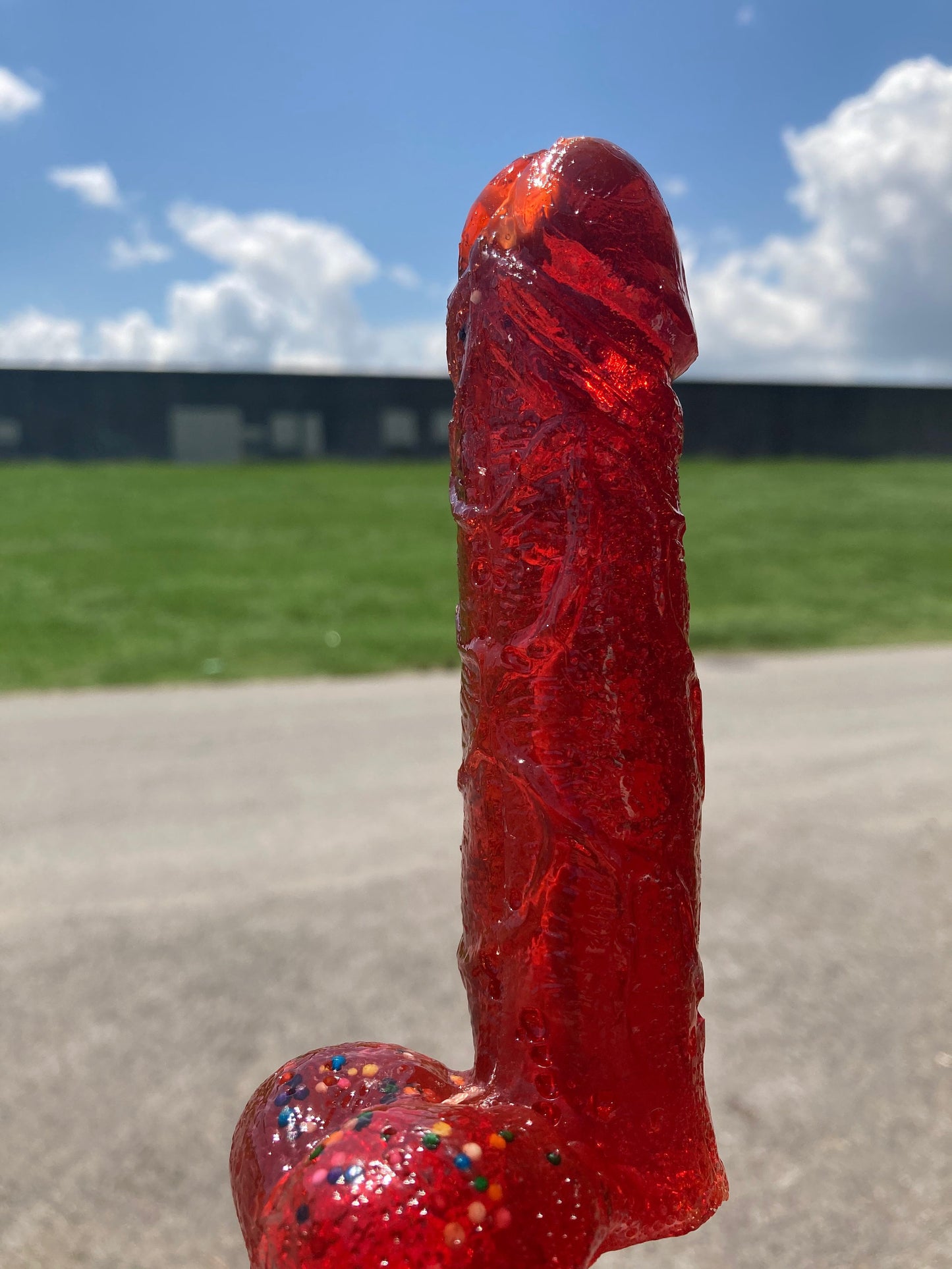 Bachelorette Penis Lollipop Party | A Dozen Strawberry Flavored Cock Suckers